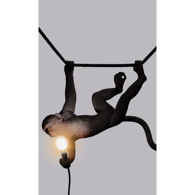 Lampa wisząca Monkey Swing zewnętrzna, czarny, Seletti