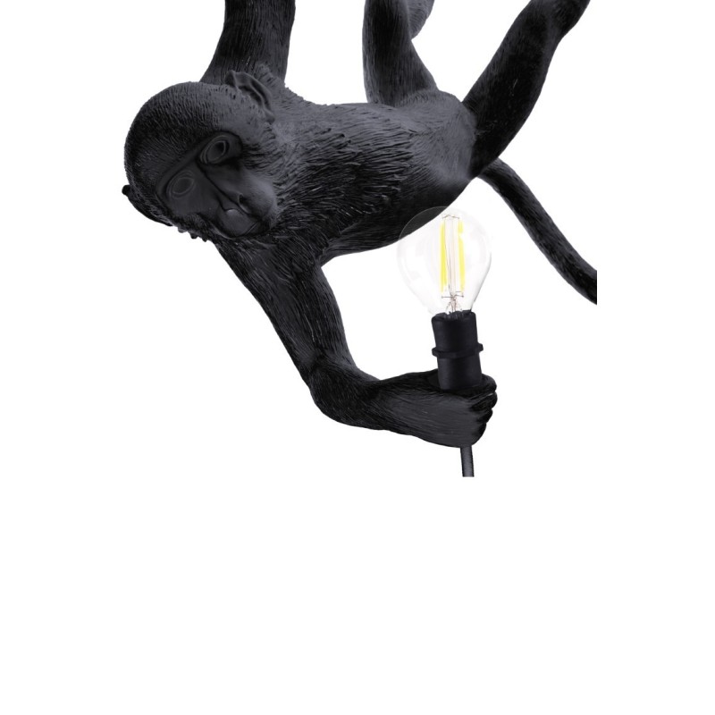 Lampa wisząca Monkey Swing zewnętrzna, czarny, Seletti