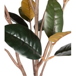 Sztuczna roślina Rubber 170 cm, zielona, Woood