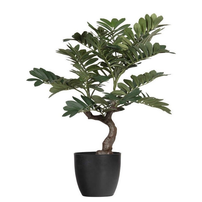 Sztuczna roślina Zamia 76 cm, zielona, Woood
