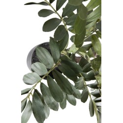 Sztuczna roślina Zamia 76 cm, zielona, Woood