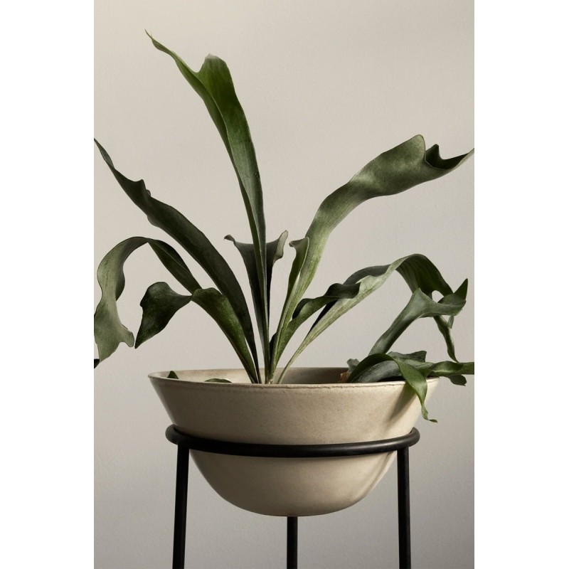 Kwietnik z doniczką Daiza, M, Menu