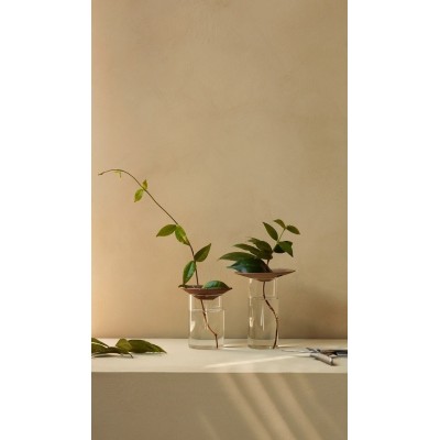 Zestaw wazonów do rozmnażania roślin Cresco, Menu