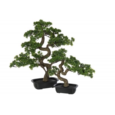 Podocarpus Bonsai, sztuczny, J-Line