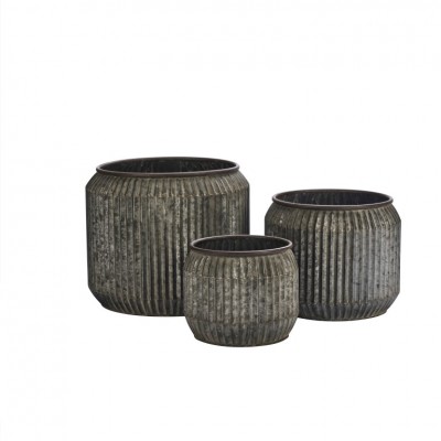 Komplet 3 donic Iris,...