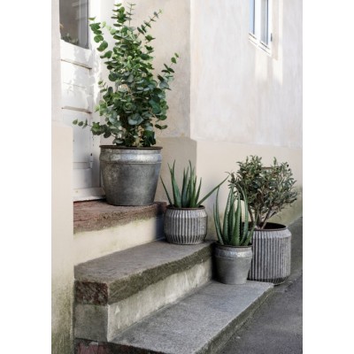 Komplet 3 donic Iris, cynkowane, Madam Stoltz