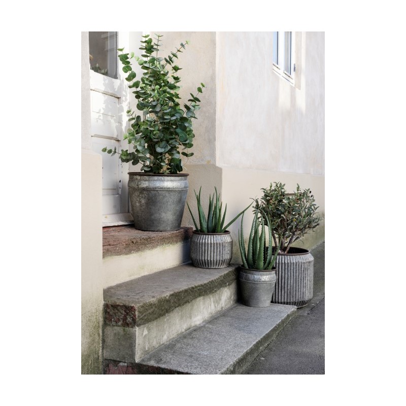 Komplet 3 donic Iris, cynkowane, Madam Stoltz