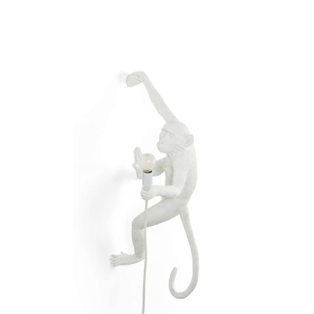 Lampa ścienna Monkey Hanging zewnętrzna, Seletti